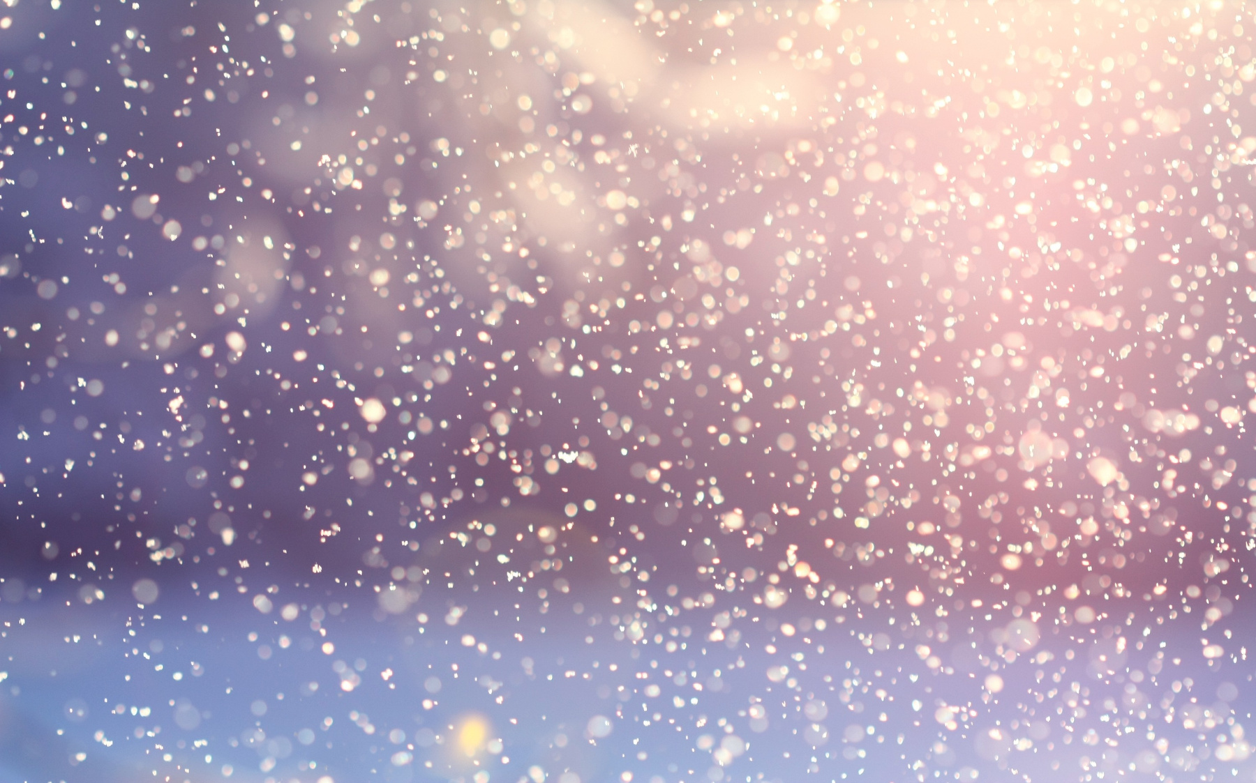 Snowflakes in Winter